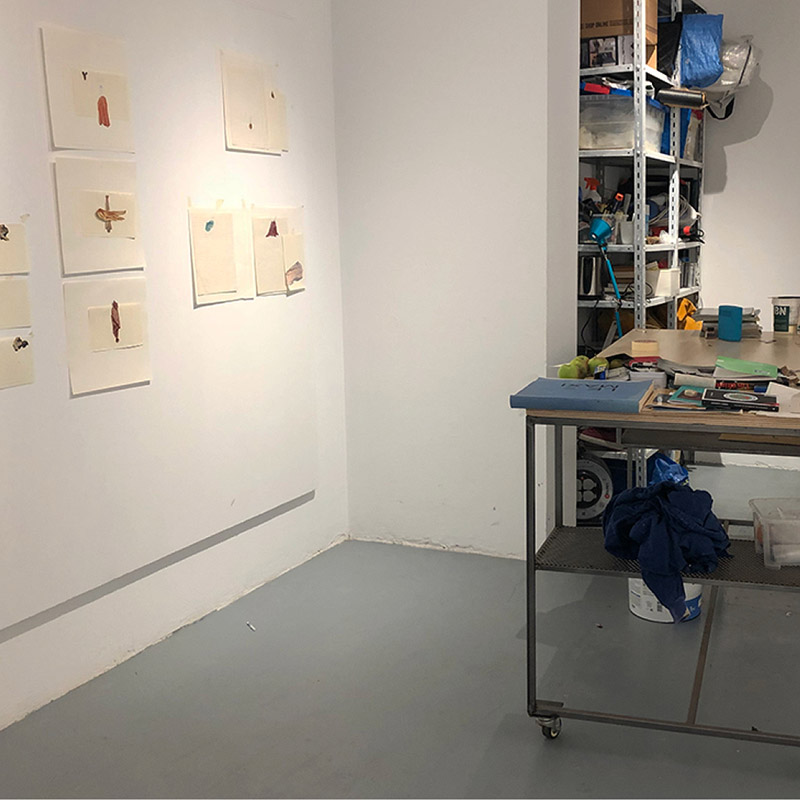 Contacta con Lucia Onzain