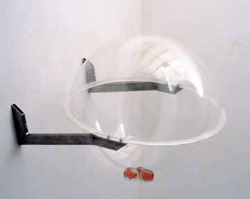 tres rosas amarillas 0