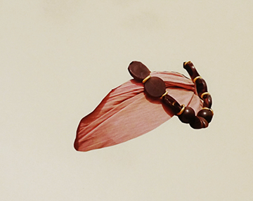 Título de serie vánitas específico - proyectos