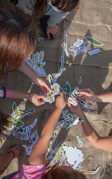 Lucia Onzain, talleres en Impredecible Basoa