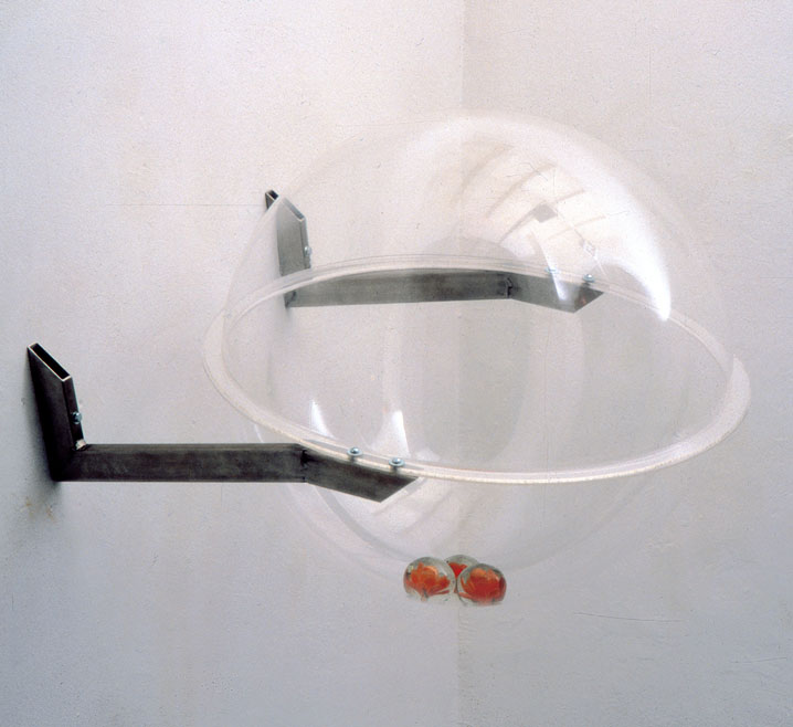 lucia_onzain-tres-rosas-amarillas-0 tres rosas amarillas 0